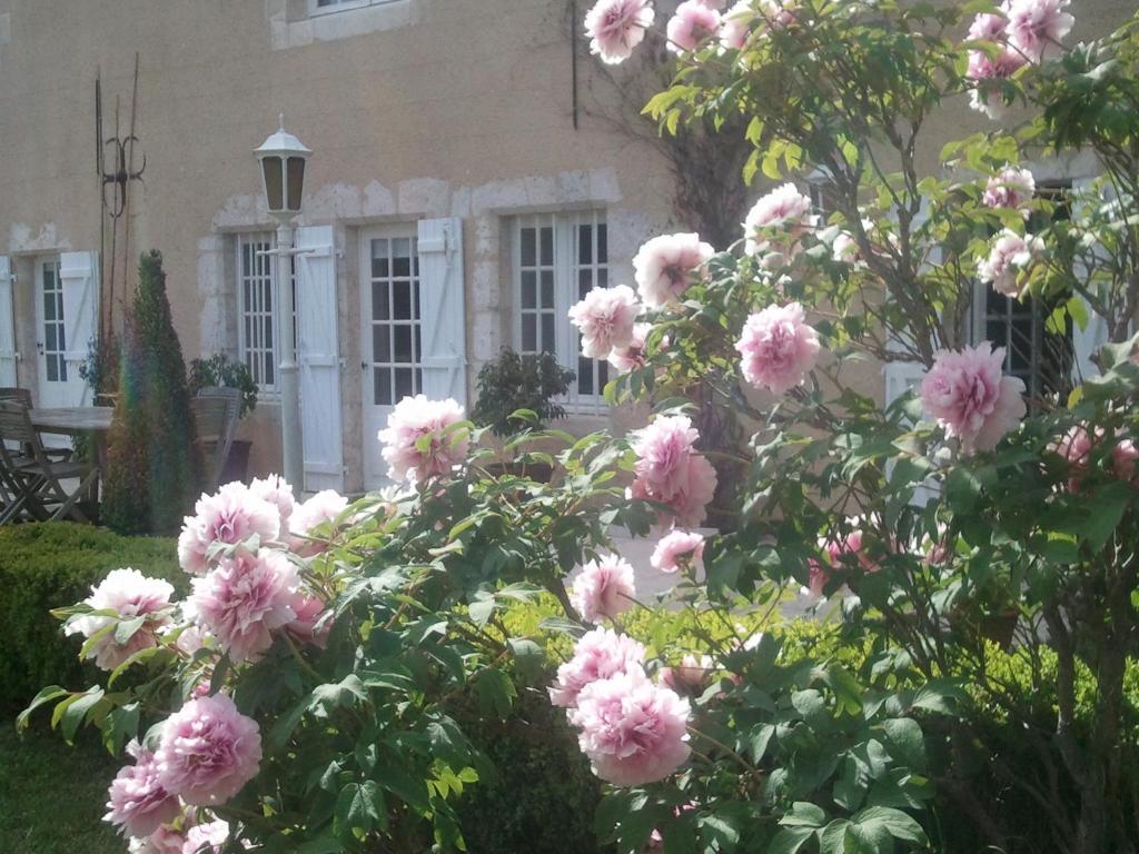 Guest House Le Clos Pasquier Blois Exterior foto